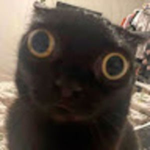 Meet your Posher, Tegan